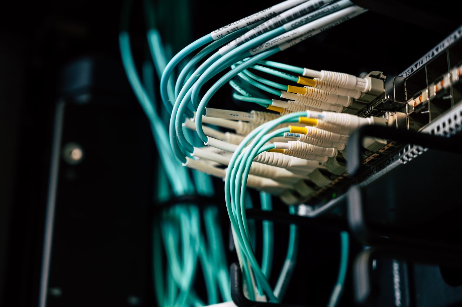 Organised network cables connected to enterprise equipment